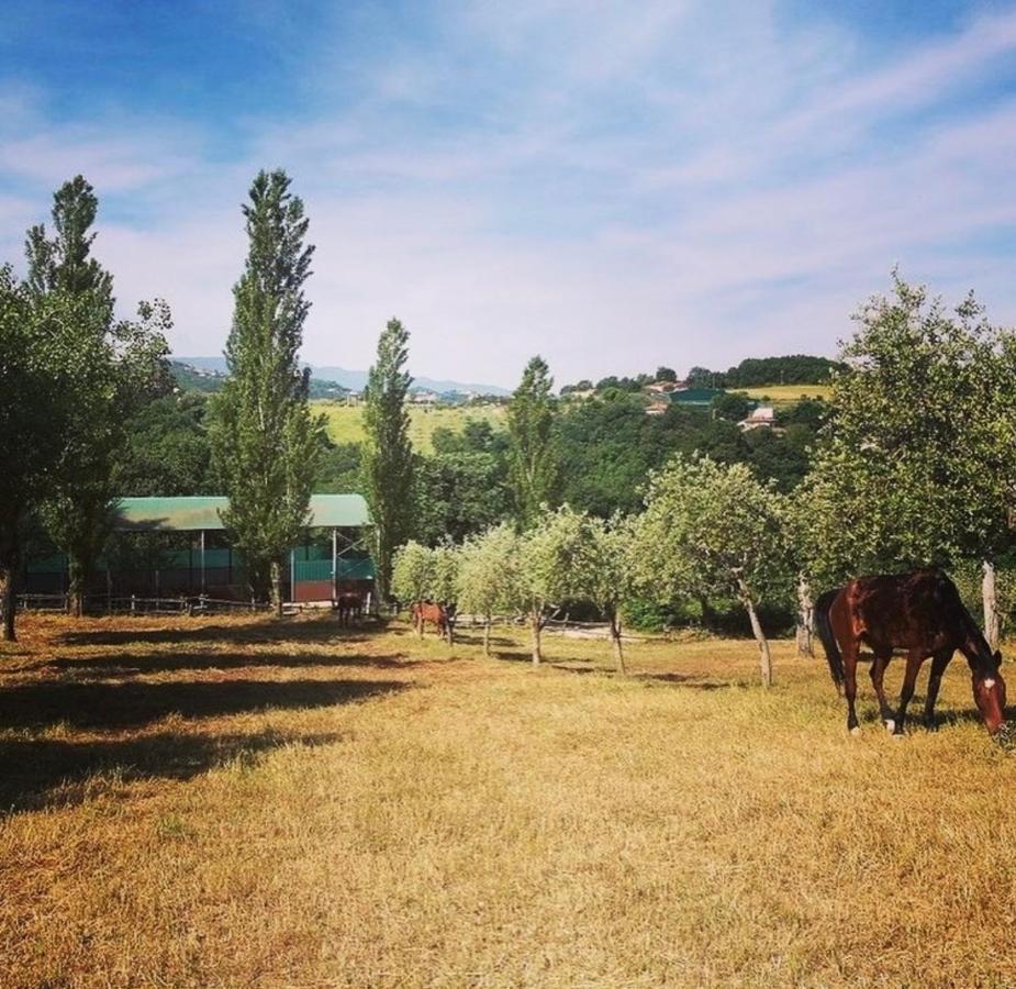 Bed and Breakfast Il Nido Della Colombaia San Nicola Manfredi Exterior foto